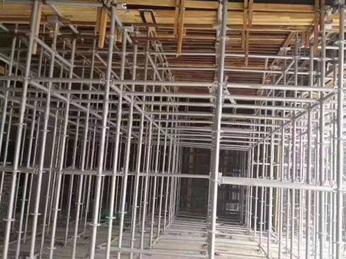 �P���_�ּ�����S